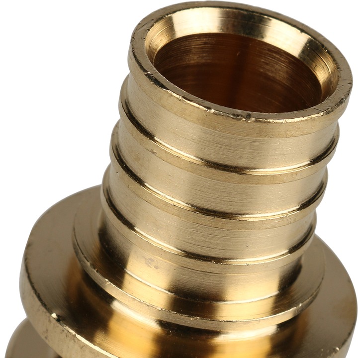 stout-sfa-0003-000020-6