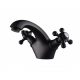 Смеситель для раковины Kaiser Grace 52011-2 Black